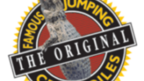 Jumping Crocodile