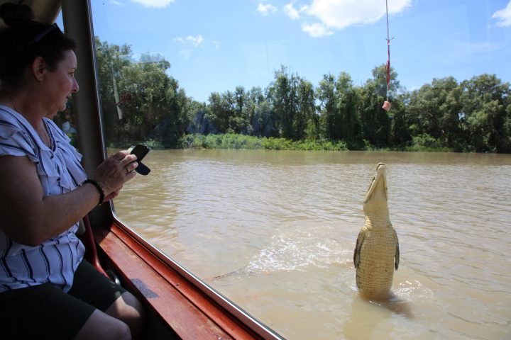 Guest photographing crocodile
